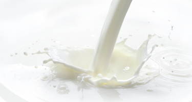 facts on fat in your breastmilk