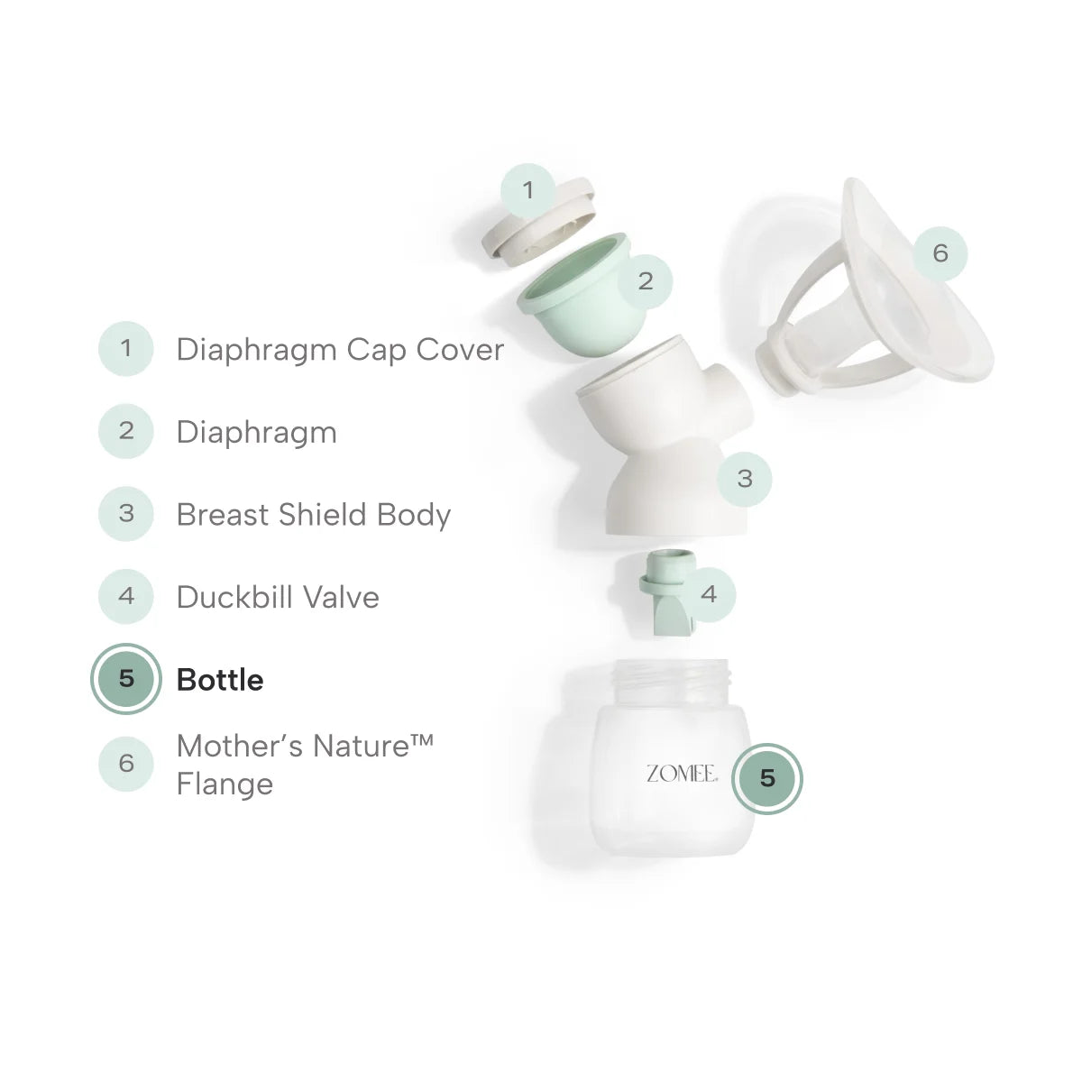 Exploded view of mother's nature breast shield kit showing milk bottle placement