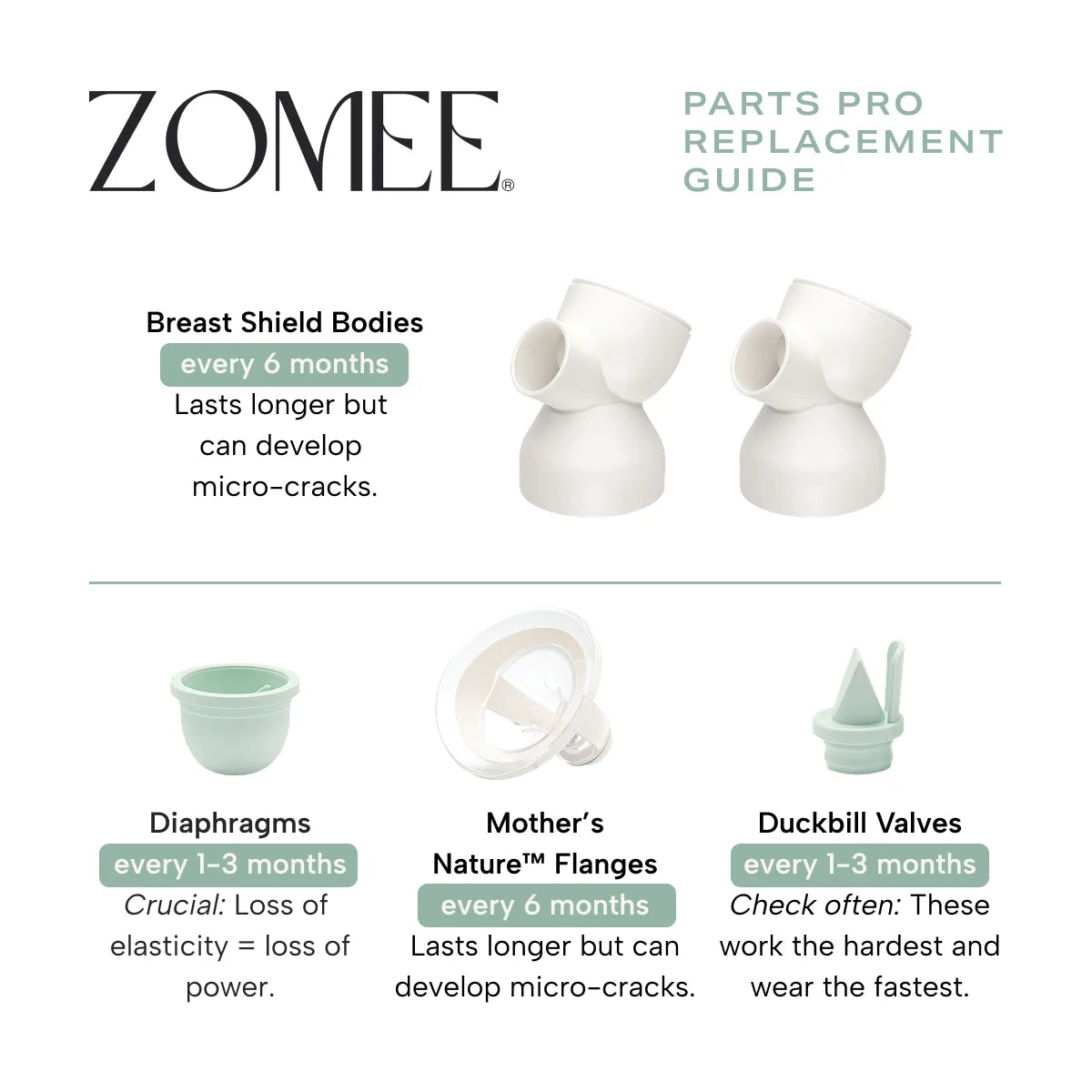 Infographic replacement guide on breast shield bodies as well as diaphragms, mother's nature flanges and duckbill valves