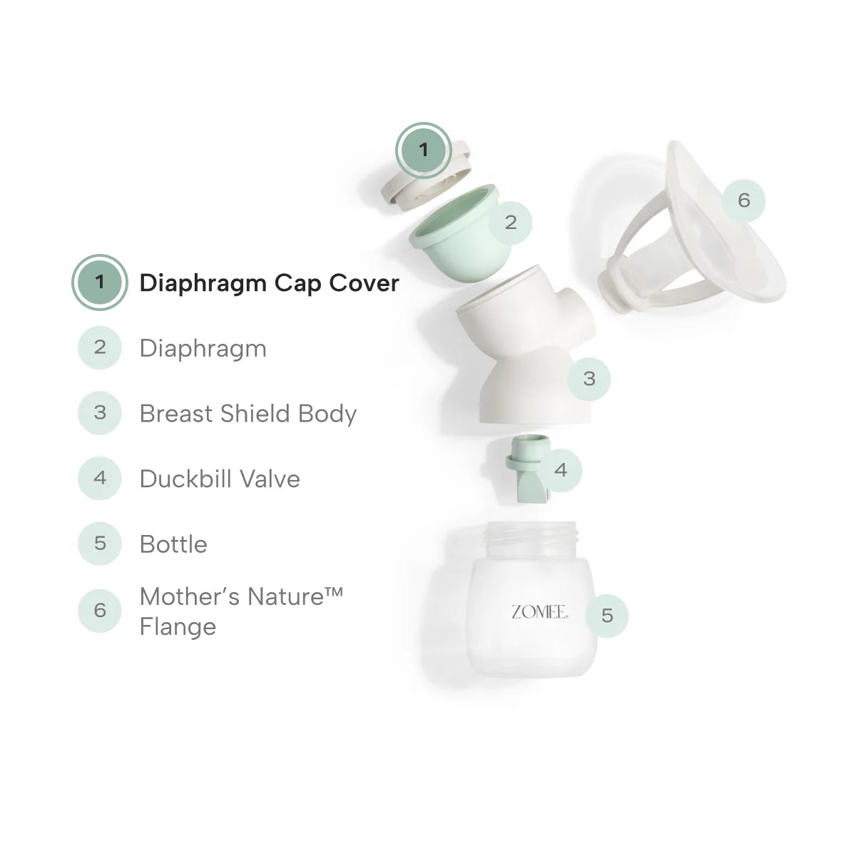Exploded view of the zomee mothers nature breast shield kit pointing out the diaphragm cap cover