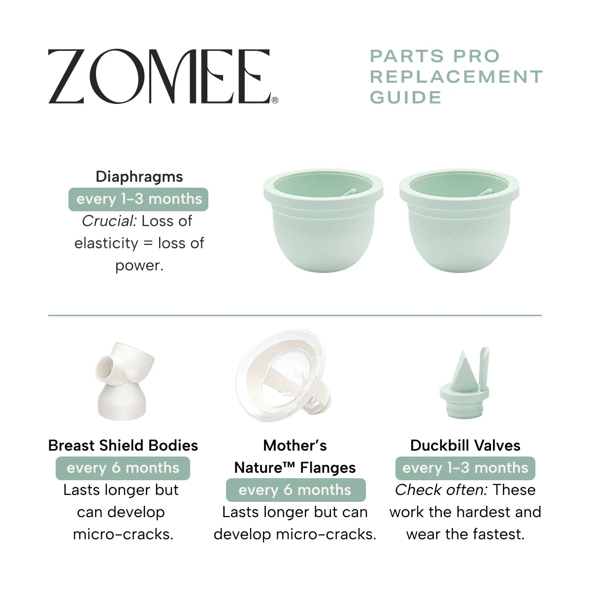 Infographic on replacement parts guide for breast pump diaphragms, breast shield bodies, mother's nature flanges and duckbill valves