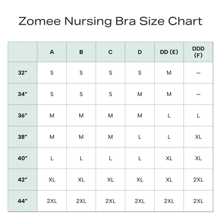 Zomee Puming Bra Size Chart table showing size mappings from A to DDD (F) by cup sizes and bra sizes 32 to 44.