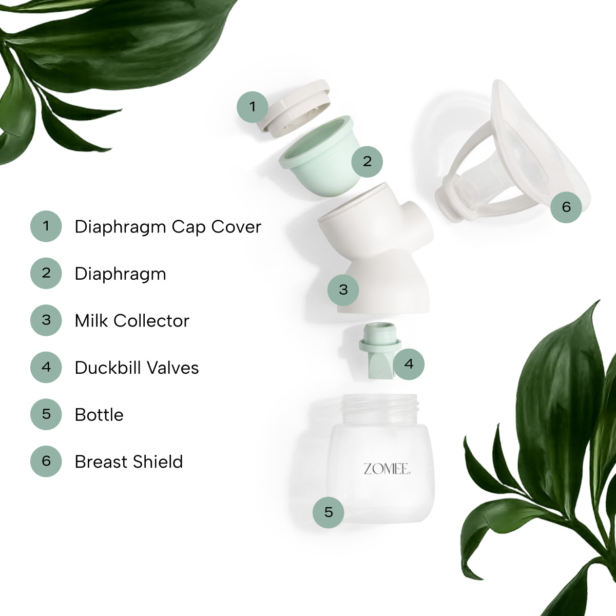 Exploded view of the Mother's Nature H1 parts for milk collection 