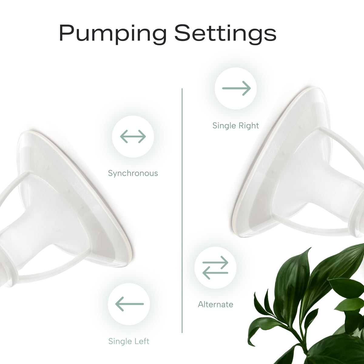 Mother's Nature H1 flanges showing single right, single left, alternate and synchronous pump settings
