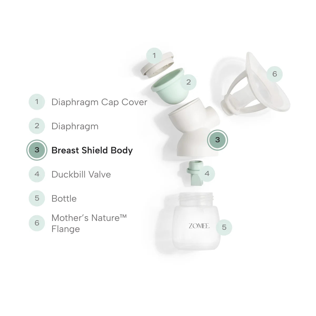 Exploded view of breast shield body kit showing breast shield body placement 