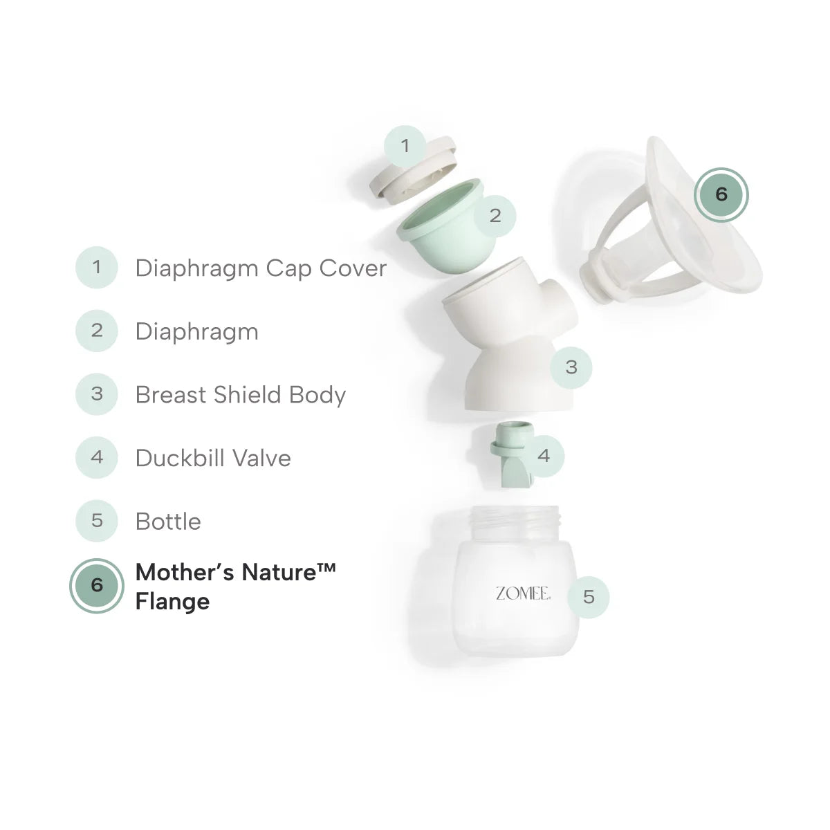 Exploded view of mother's nature breast shield kit to show flange placement 