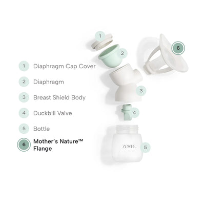 Exploded view of mother's nature breast shield kit to show flange placement 