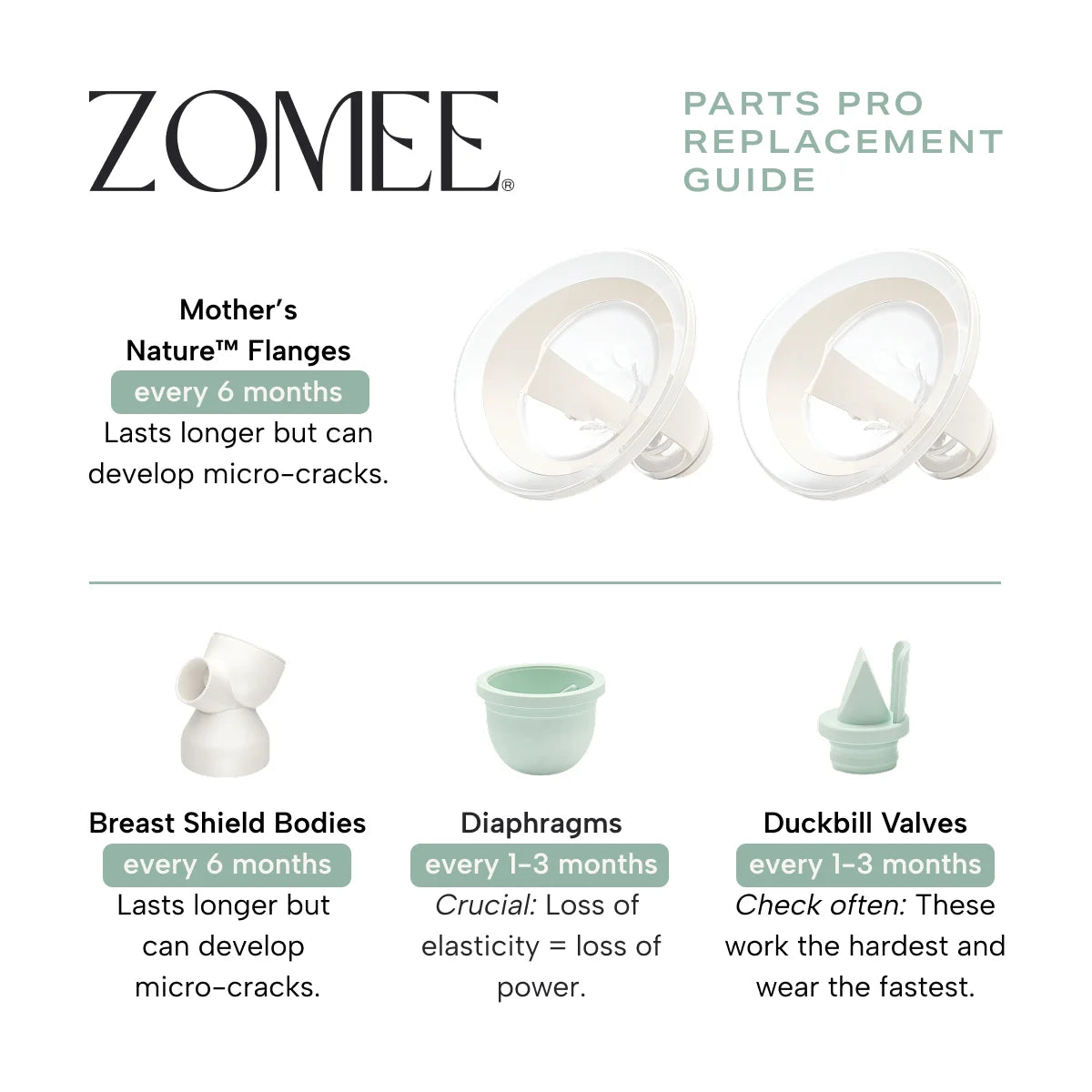 Infographic replacement guide on breast shield flanges as well as breast shield bodies, diaphragms and duckbill valves 