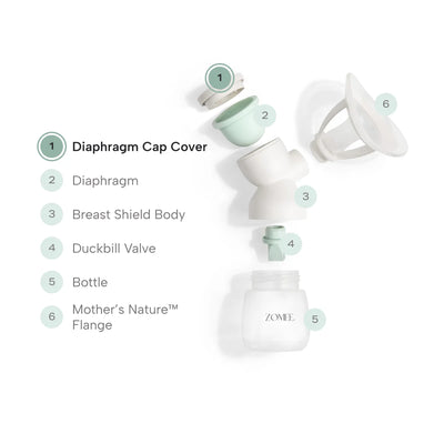 Exploded view of the zomee mothers nature breast shield kit pointing out the diaphragm cap cover