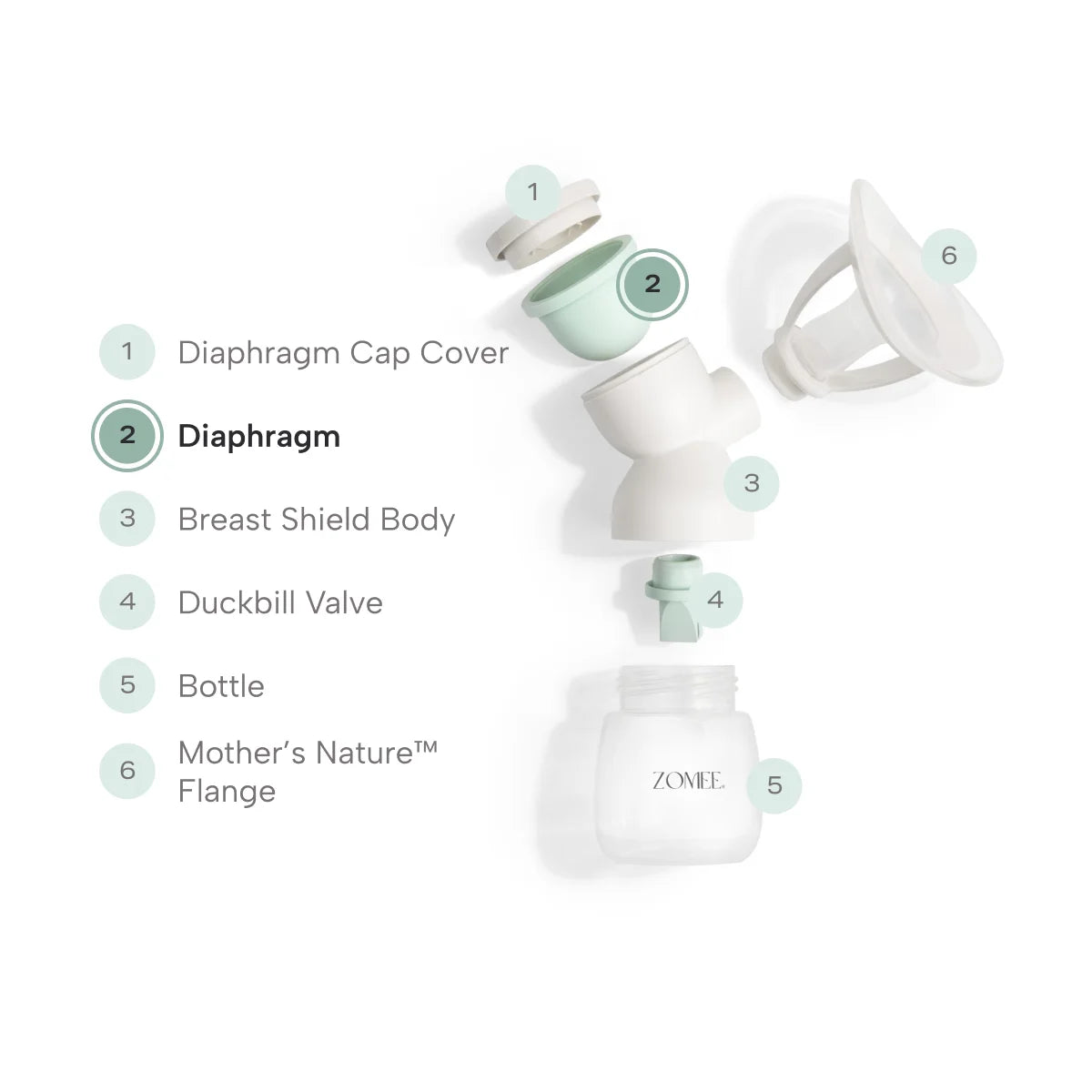 Exploded view of mother's nature breast shield kit showing the diaphragm placement 