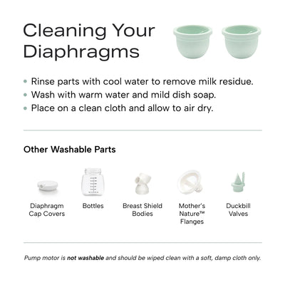 Infographic on cleaning your diaphragms as well as other washable pump parts 