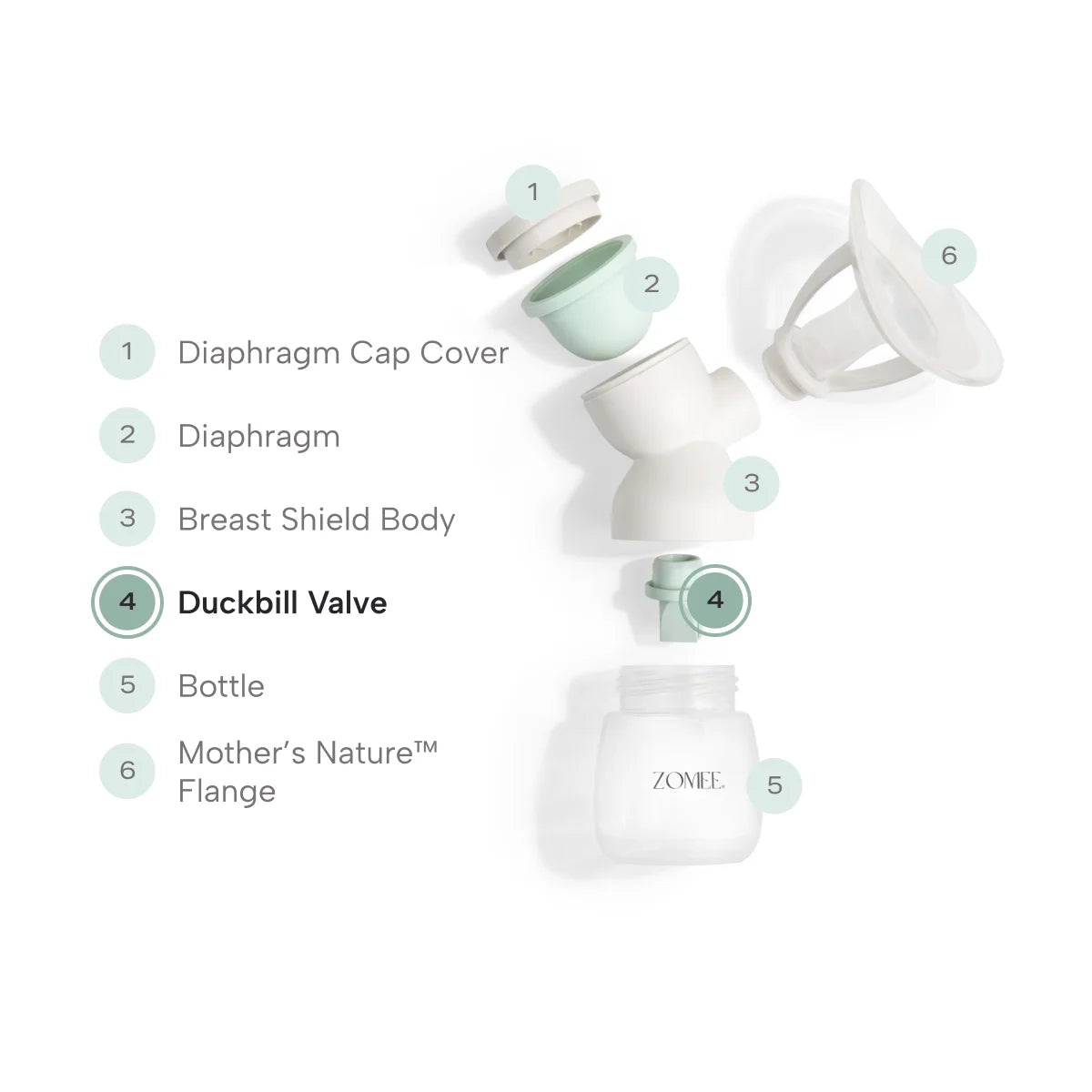 Exploded view of mother's nature breast shield skit to show the duckbill valve placement 