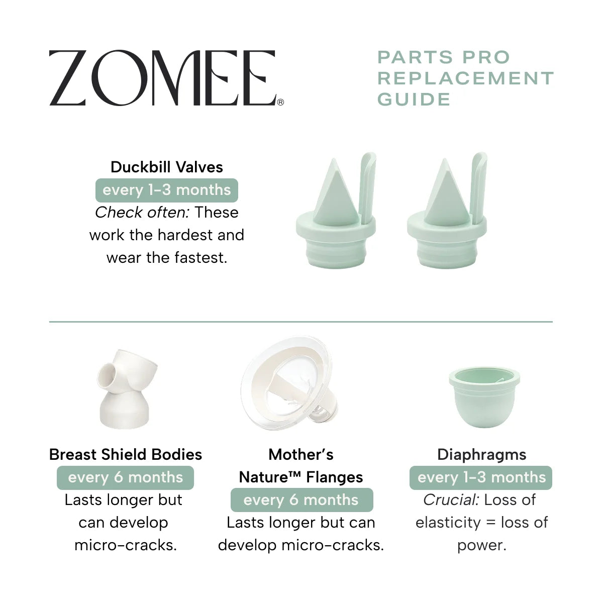 Infographic replacement guide on duckbill valves, breast shield bodies, mother's nature flanges and diaphragms 